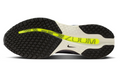 Nike Pegasus Premium 'Photon Dust/Metallic Silver/Black'